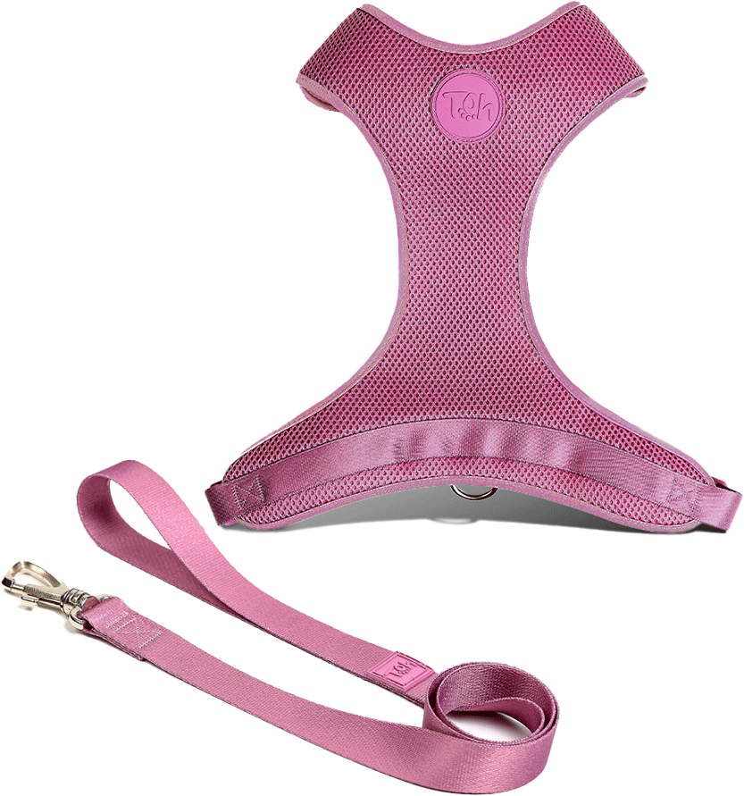 Conjunto Peitoral Mesh H e Guia Toh Bruma para Cães - Tam. P