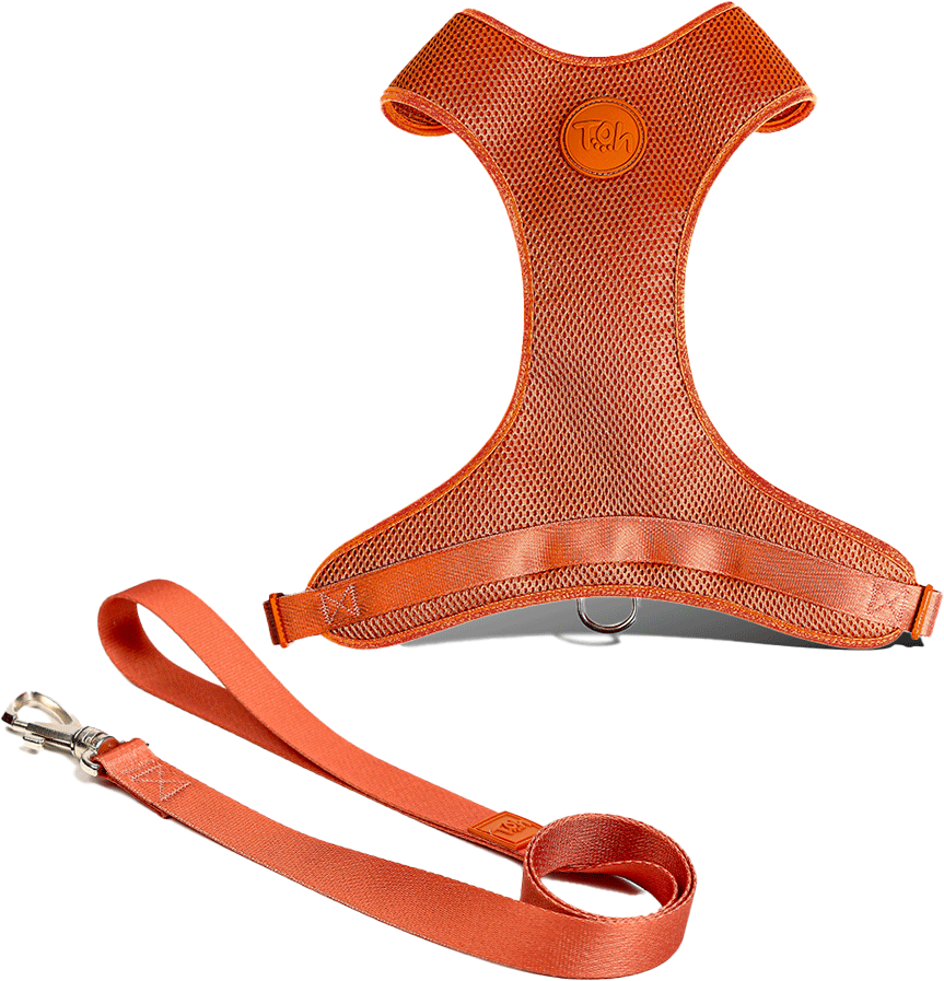 Conjunto Peitoral Mesh H e Guia Toh Coral para Cães - Tam. M