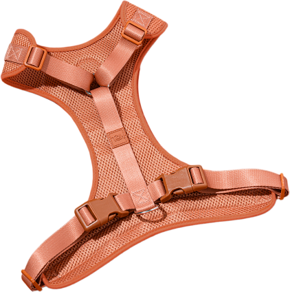 Conjunto Peitoral Mesh H e Guia Toh Coral para Cães - Tam. M
