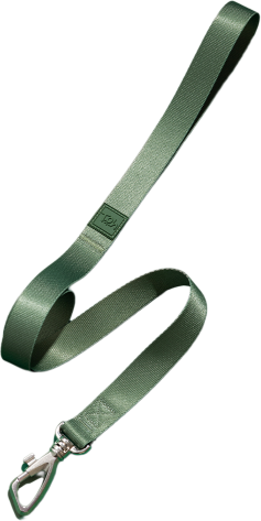 Conjunto Peitoral Mesh H e Guia Toh Florest para Cães - Tam. PP