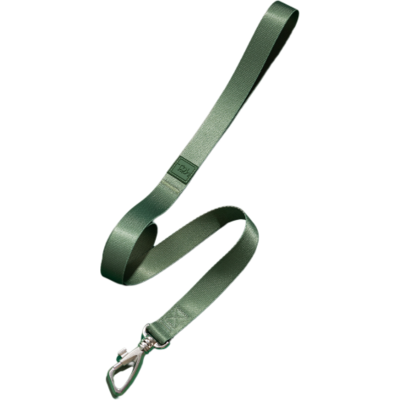 Conjunto Peitoral Mesh H e Guia Toh Florest para Cães