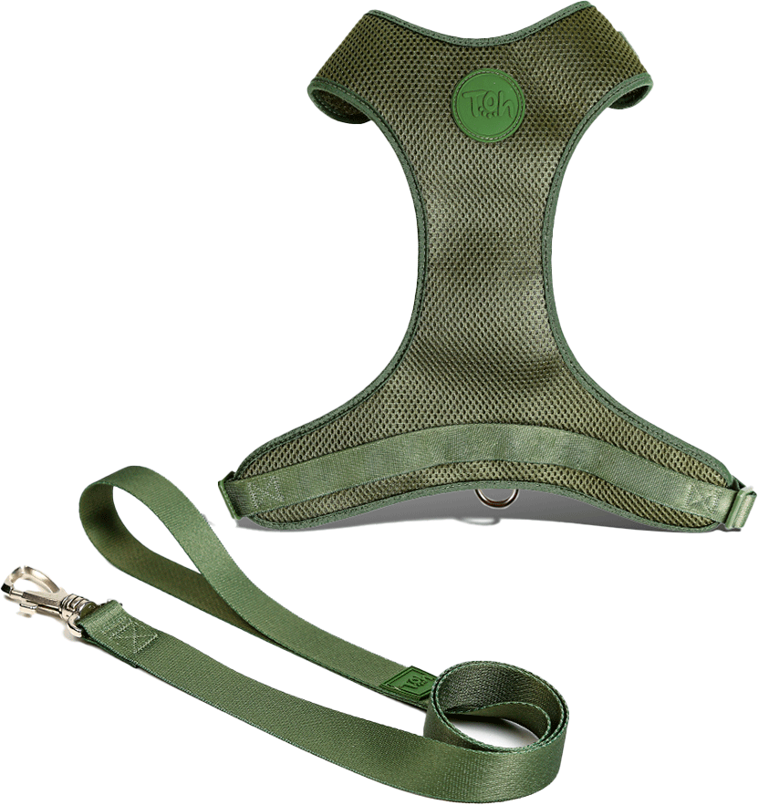 Conjunto Peitoral Mesh H e Guia Toh Florest para Cães - Tam. PP