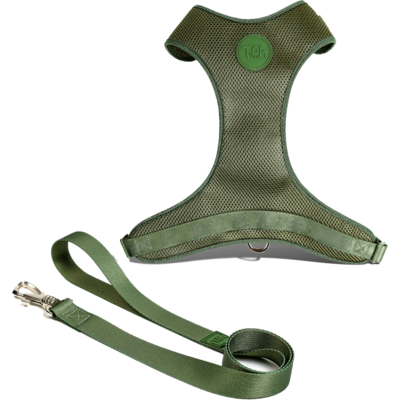 Conjunto Peitoral Mesh H e Guia Toh Florest para Cães