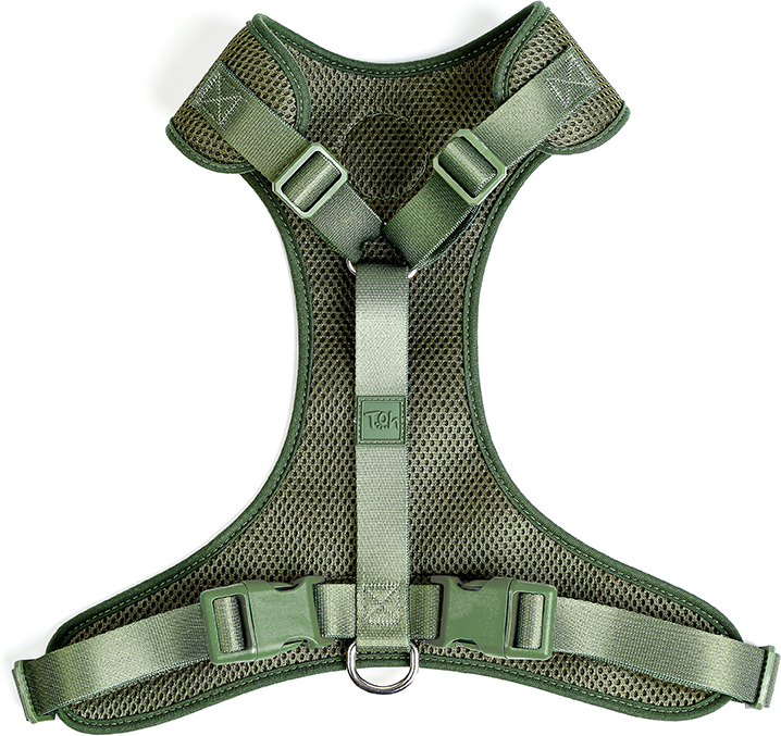 Conjunto Peitoral Mesh H e Guia Toh Florest para Cães - Tam. PP