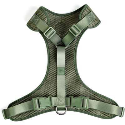Conjunto Peitoral Mesh H e Guia Toh Florest para Cães