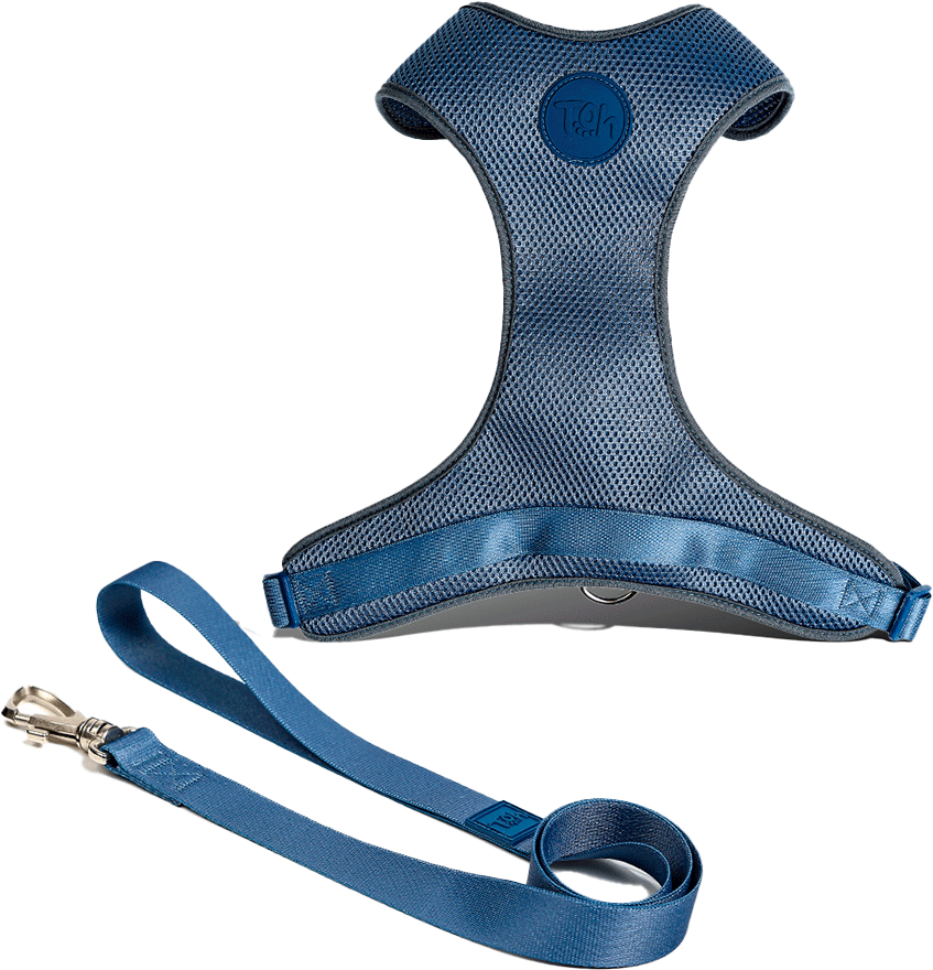 Conjunto Peitoral Mesh H e Guia Toh Marine para Cães - Tam. PP