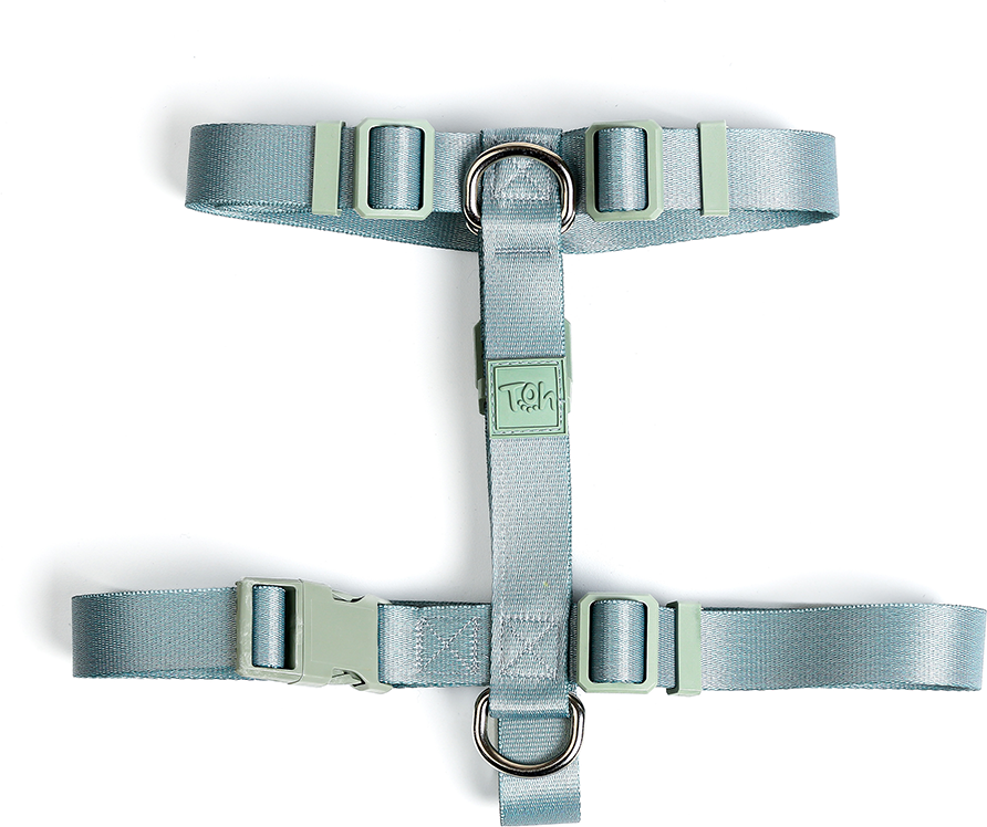 Conjunto Peitoral H e Guia Toh Alga para Cães - Tam. G