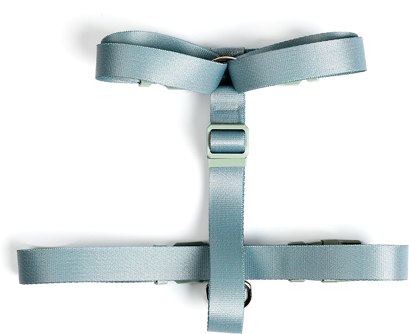 Conjunto Peitoral H e Guia Toh Alga para Cães - Tam. G