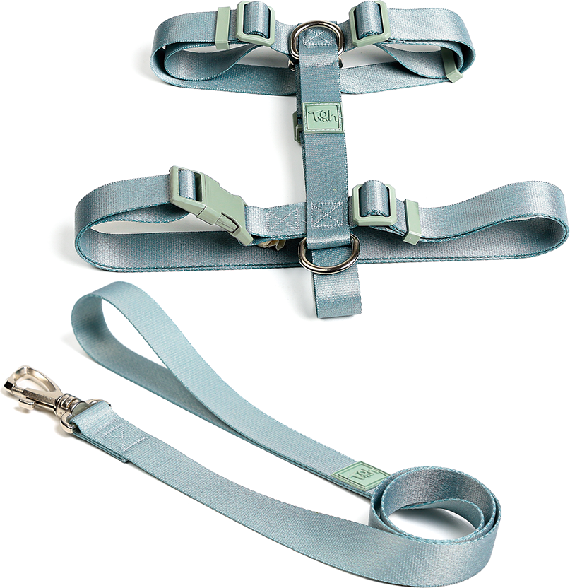 Conjunto Peitoral H e Guia Toh Alga para Cães - Tam. G