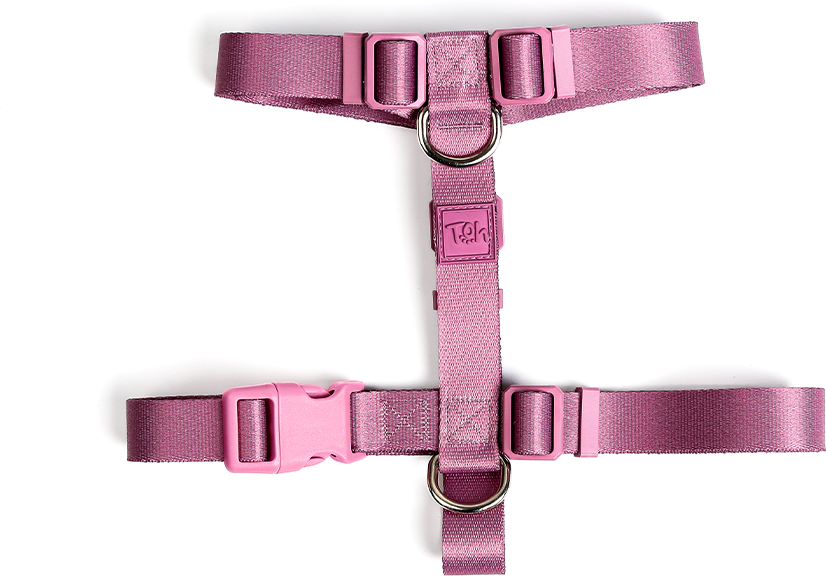 Conjunto Peitoral H e Guia Toh Bruma para Cães - Tam. P