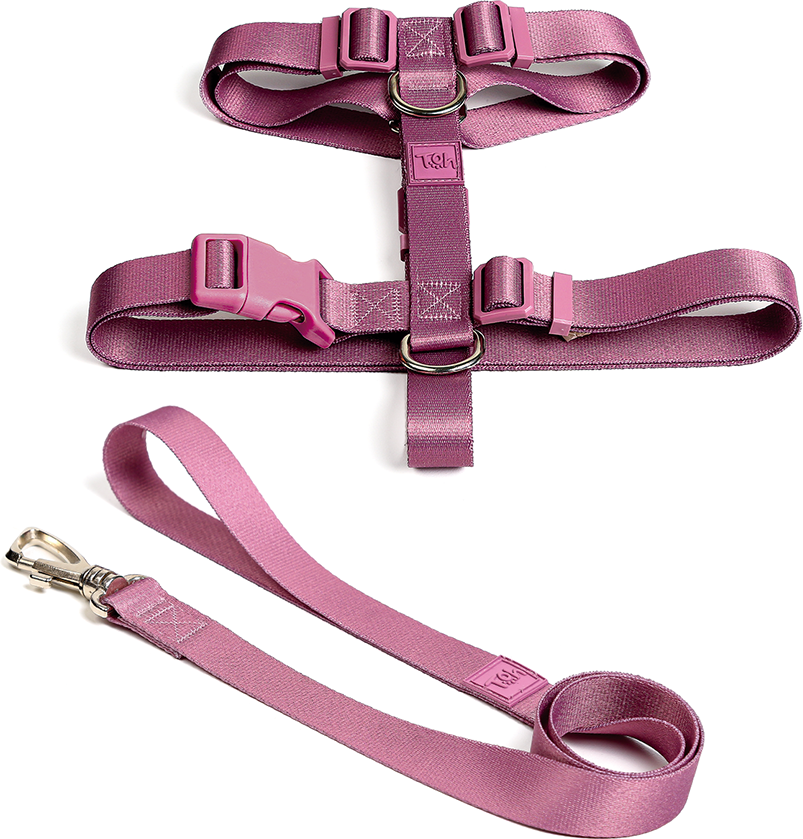 Conjunto Peitoral H e Guia Toh Bruma para Cães - Tam. P