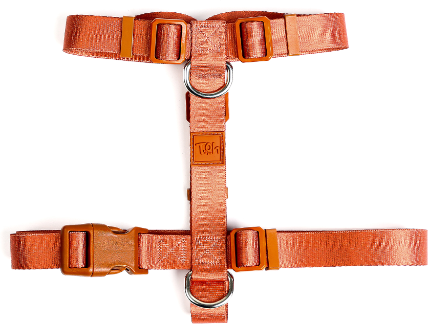 Conjunto Peitoral H e Guia Toh Coral para Cães - Tam. P