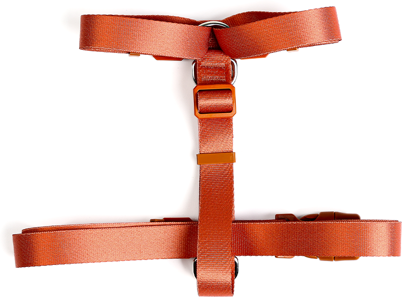 Conjunto Peitoral H e Guia Toh Coral para Cães - Tam. P