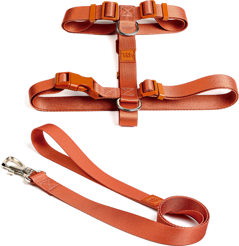Conjunto Peitoral H e Guia Toh Coral para Cães - Tam. P