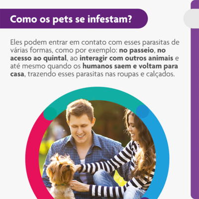 Antipulgas e Carrapatos MSD Bravecto para Cães de 2 a 4,5 Kg
