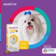 Antipulgas e Carrapatos MSD Bravecto para Cães de 2 a 4,5 Kg