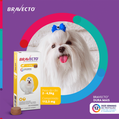 Antipulgas e Carrapatos MSD Bravecto para Cães de 2 a 4,5 Kg