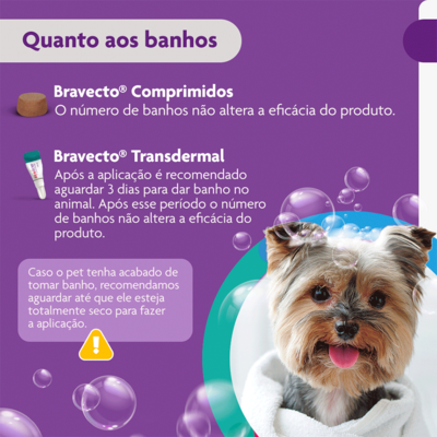 Antipulgas e Carrapatos MSD Bravecto para Cães de 2 a 4,5 Kg