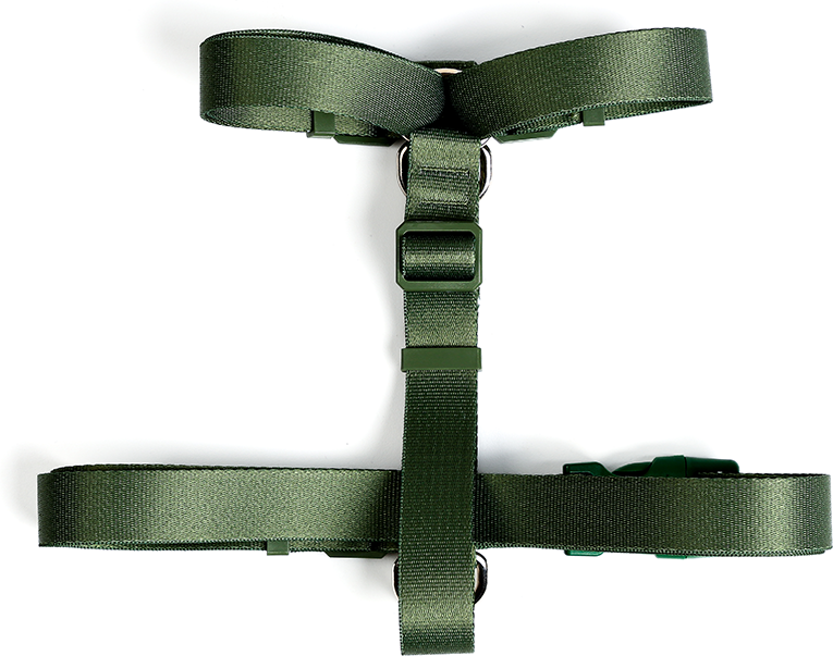 Conjunto Peitoral H e Guia Toh Florest para Cães - Tam. M