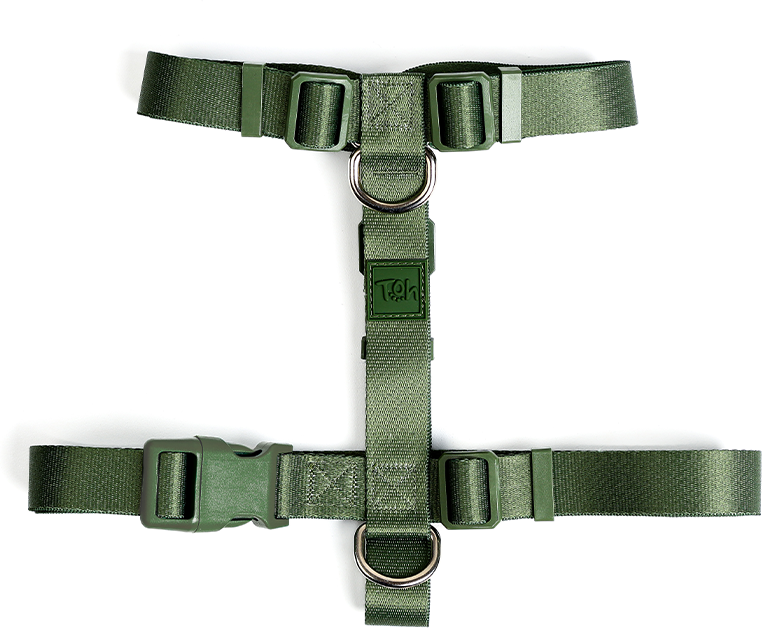Conjunto Peitoral H e Guia Toh Florest para Cães - Tam. M