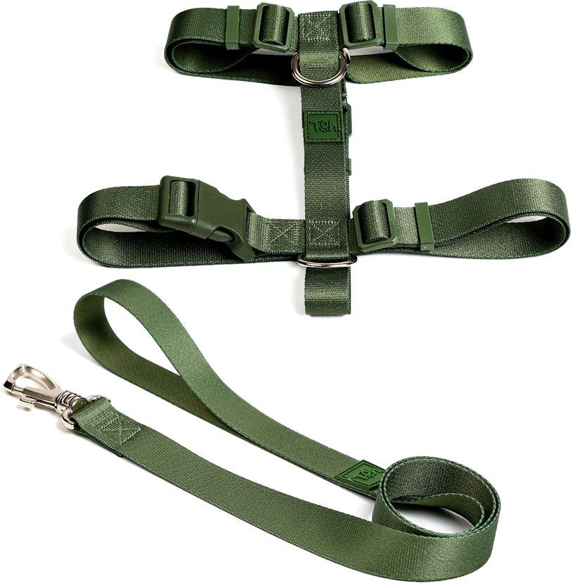 Conjunto Peitoral H e Guia Toh Florest para Cães - Tam. M