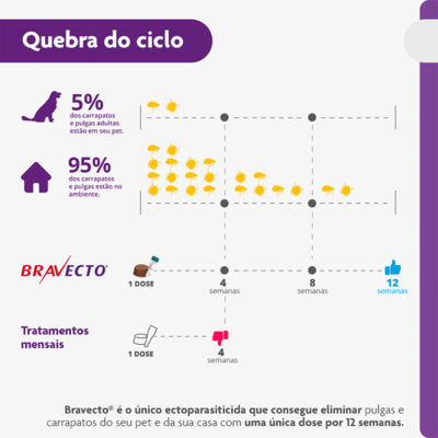 Antipulgas e Carrapatos MSD Bravecto para Cães de 10 a 20 Kg