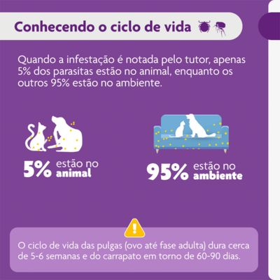 Antipulgas e Carrapatos MSD Bravecto para Cães de 10 a 20 Kg