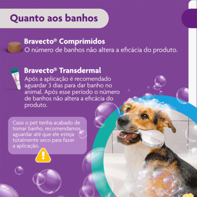 Antipulgas e Carrapatos MSD Bravecto para Cães de 10 a 20 Kg