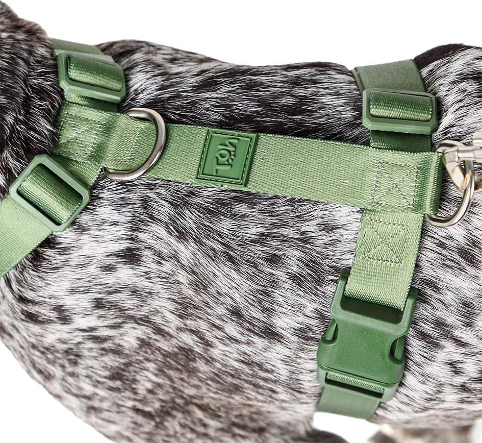 Conjunto Peitoral H e Guia Toh Florest para Cães - Tam. M