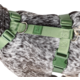 Conjunto Peitoral H e Guia Toh Florest para Cães”