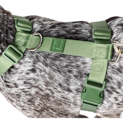 Conjunto Peitoral H e Guia Toh Florest para Cães”