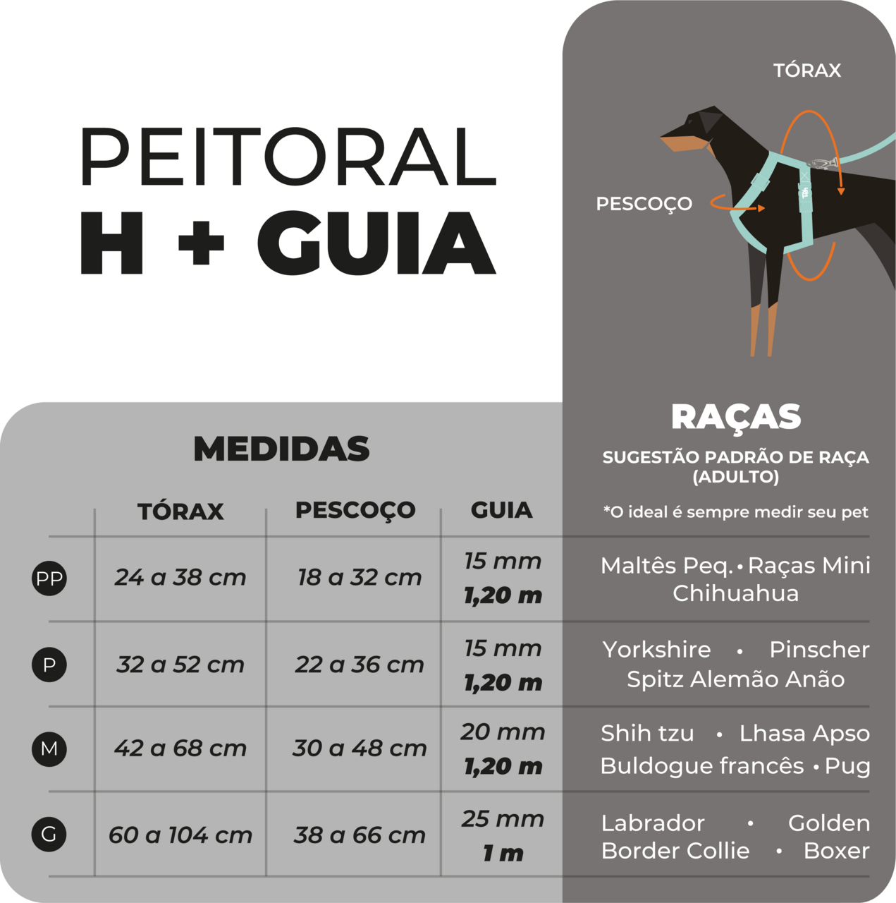 Conjunto Peitoral H e Guia Toh Marine para Cães - Tam. PP