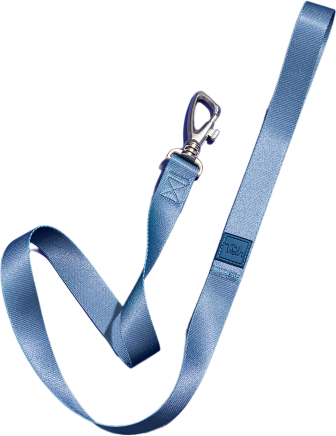 Conjunto Peitoral H e Guia Toh Marine para Cães - Tam. PP