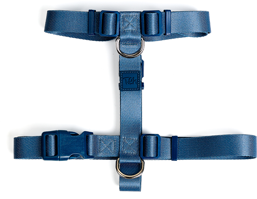 Conjunto Peitoral H e Guia Toh Marine para Cães - Tam. PP