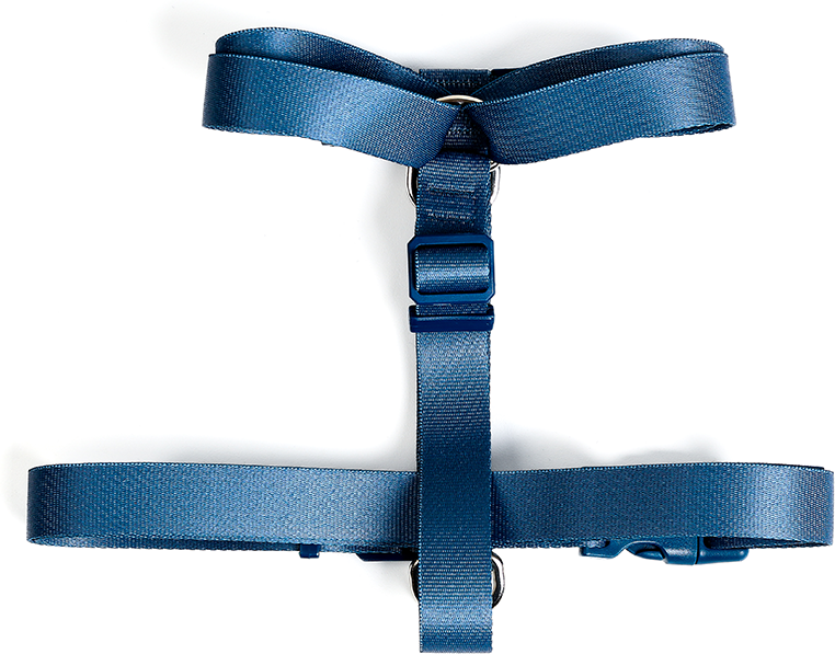 Conjunto Peitoral H e Guia Toh Marine para Cães - Tam. PP