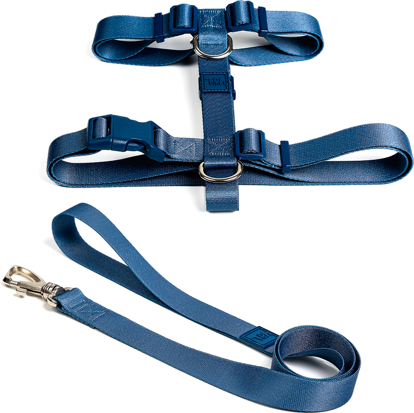 Conjunto Peitoral H e Guia Toh Marine para Cães - Tam. PP