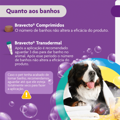 Antipulgas e Carrapatos MSD Bravecto para Cães de 40 a 56 Kg