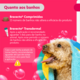 Antipulgas e Carrapatos MSD Bravecto Transdermal para Cães de 4,5 a 10 Kg