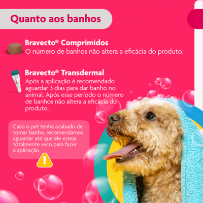 Antipulgas e Carrapatos MSD Bravecto Transdermal para Cães de 4,5 a 10 Kg