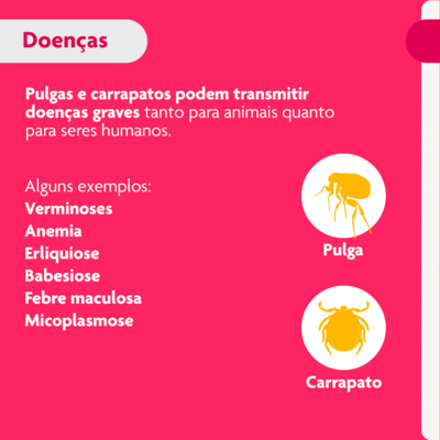 Antipulgas e Carrapatos MSD Bravecto Transdermal para Cães de 4,5 a 10 Kg