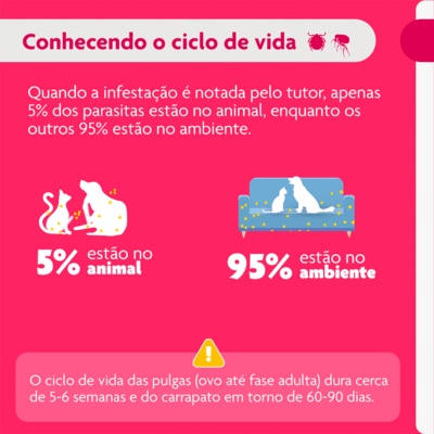 Antipulgas e Carrapatos MSD Bravecto Transdermal para Cães de 4,5 a 10 Kg