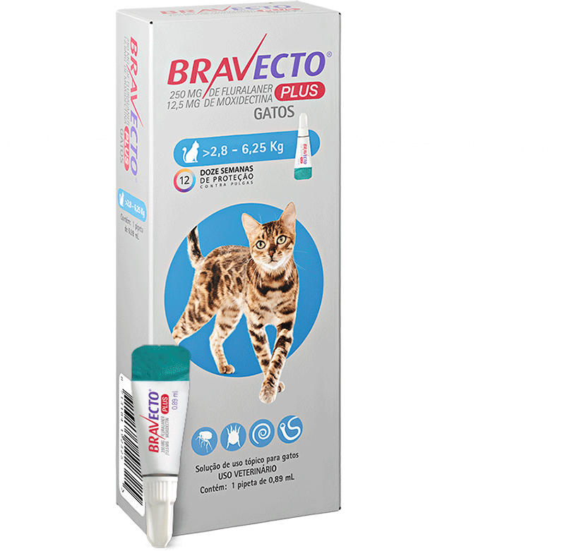 Antipulgas Bravecto Transdermal Plus 250 mg para Gatos de 2,8 a 6,25Kg - 2 Caixas (2 Pipetas)
