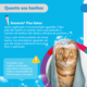 Antipulgas MSD Bravecto Transdermal Plus para Gatos de 2,8 a 6,25 Kg
