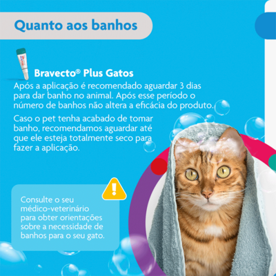 Antipulgas MSD Bravecto Transdermal Plus para Gatos de 2,8 a 6,25 Kg