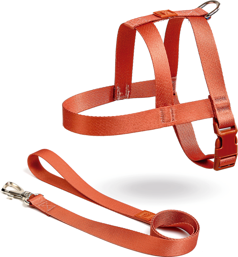 Conjunto Peitoral Tradicional e Guia Toh Coral para Cães - Tam. M