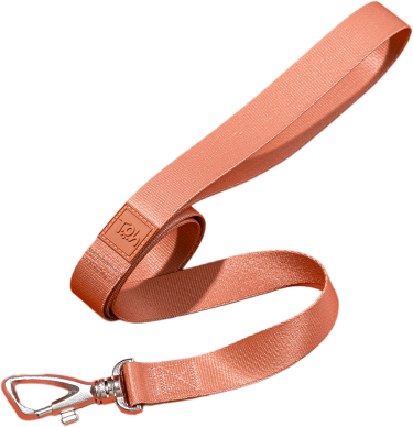 Conjunto Peitoral Tradicional e Guia Toh Coral para Cães - Tam. M
