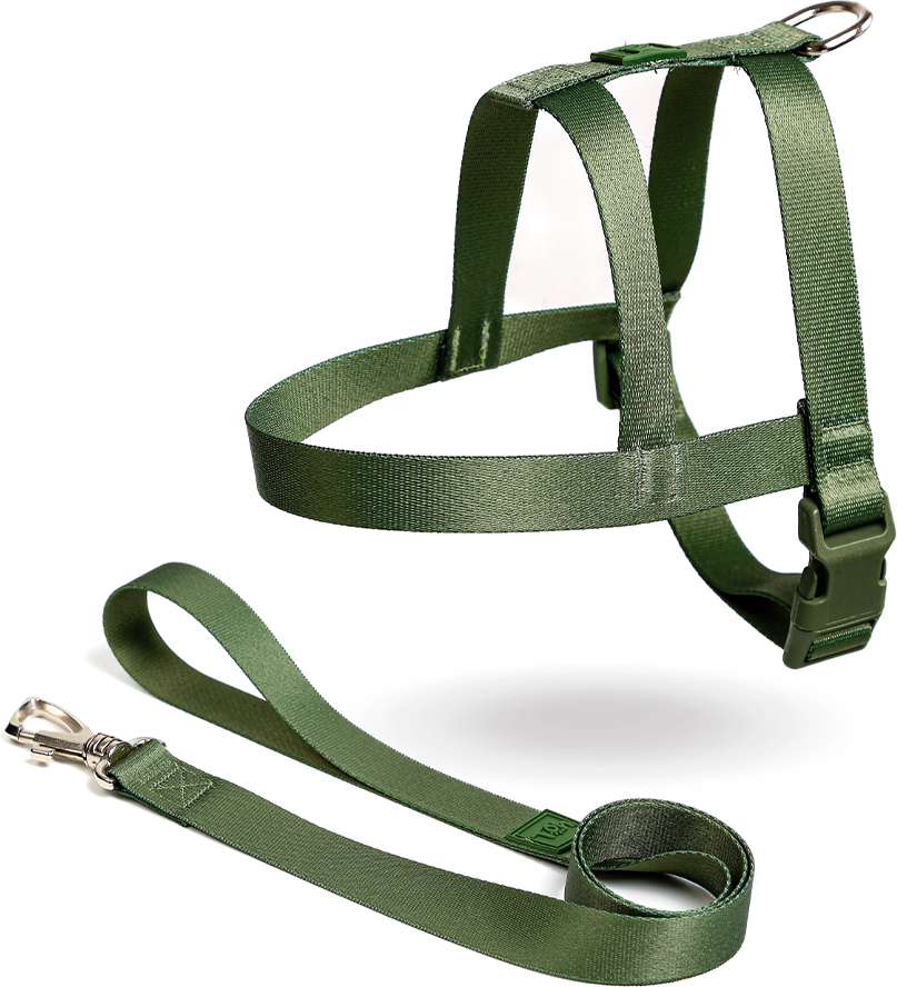 Conjunto Peitoral Tradicional e Guia Toh Florest para Cães - Tam. M