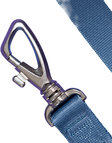 Conjunto Peitoral Tradicional e Guia Toh Marine para Cães - Tam. M