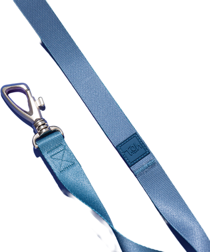 Conjunto Peitoral Tradicional e Guia Toh Marine para Cães - Tam. M
