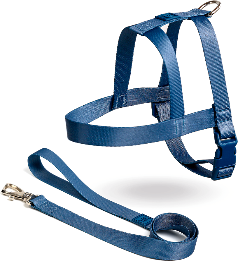 Conjunto Peitoral Tradicional e Guia Toh Marine para Cães - Tam. M